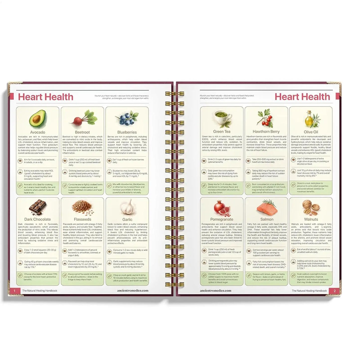 Natural Healing Guide Spiral Bound Herbal Book with Step-by-Step Recipes for Heart Health Blood Pressure and Focus Enhancement